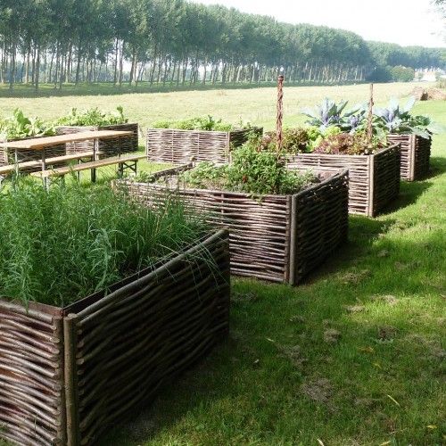 29 idées & astuces pour réussir son premier carré potager 8