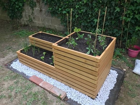 29 idées & astuces pour réussir son premier carré potager 12