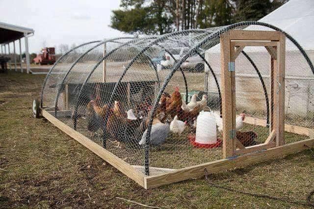 100 top idées de poulaillers pour la prise en charge de vos poulets 44