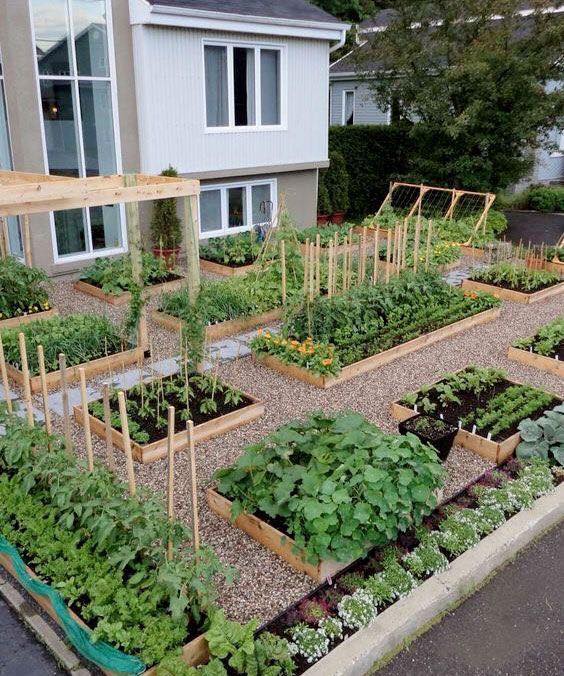 100 top idées pour faire un jardin potager 38