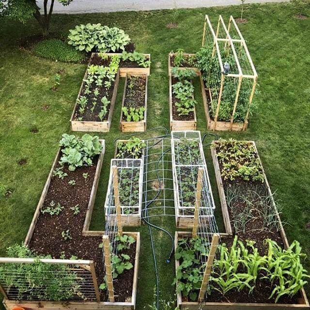 100 top idées pour faire un jardin potager 39