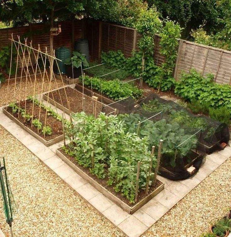 100 top idées pour faire un jardin potager 40