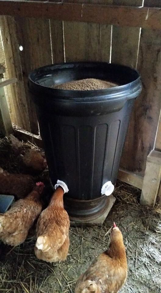 100 top idées de poulaillers pour la prise en charge de vos poulets 33