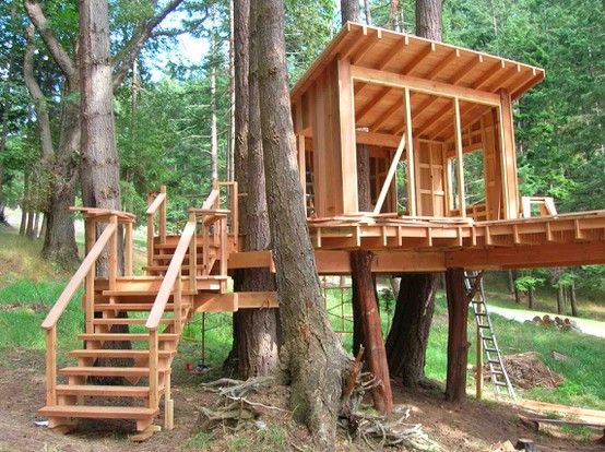 50 top idées de petites maisons en bois en tendances 41