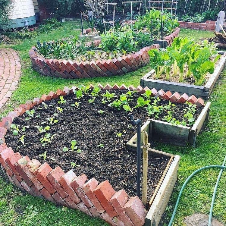 100 top idées pour faire un jardin potager 50