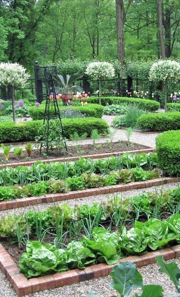 100 top idées pour faire un jardin potager 55