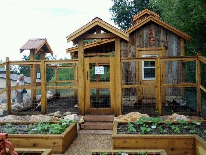 100 top idées de poulaillers pour la prise en charge de vos poulets 77