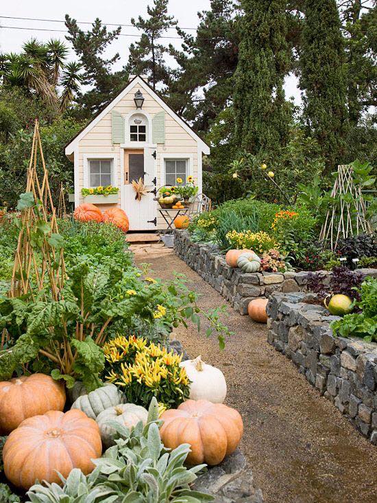 100 top idées pour faire un jardin potager 72