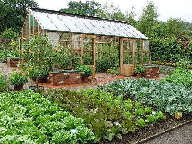 100 top idées pour faire un jardin potager 73