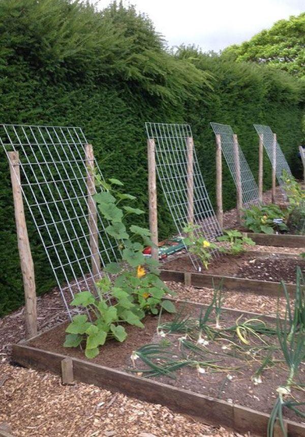 100 top idées pour faire un jardin potager 74