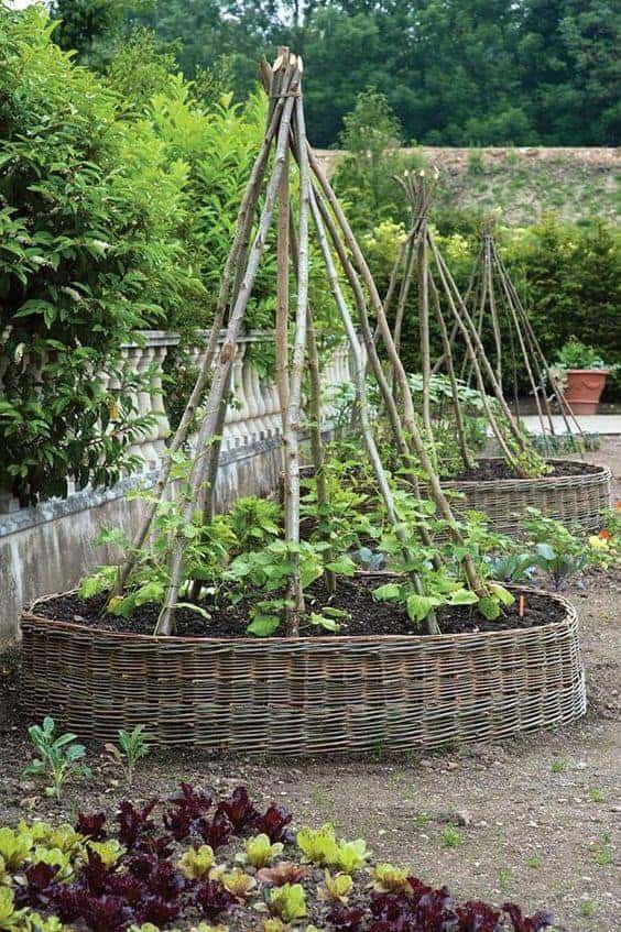 100 top idées pour faire un jardin potager 79