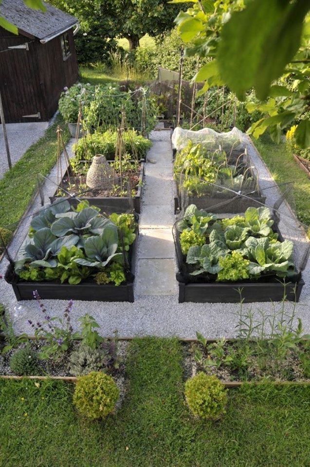 100 top idées pour faire un jardin potager 80