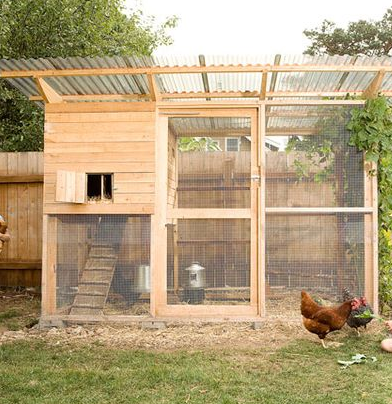 100 top idées de poulaillers pour la prise en charge de vos poulets 95