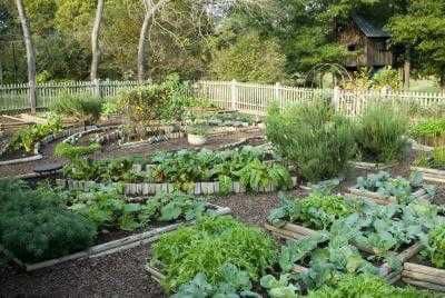 100 top idées pour faire un jardin potager 82