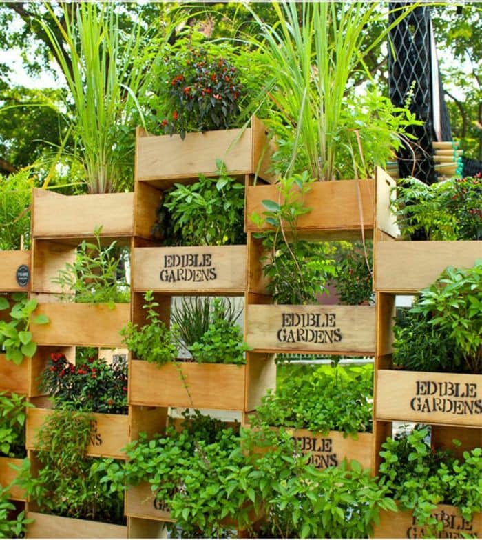 100 top idées pour faire un jardin potager 88