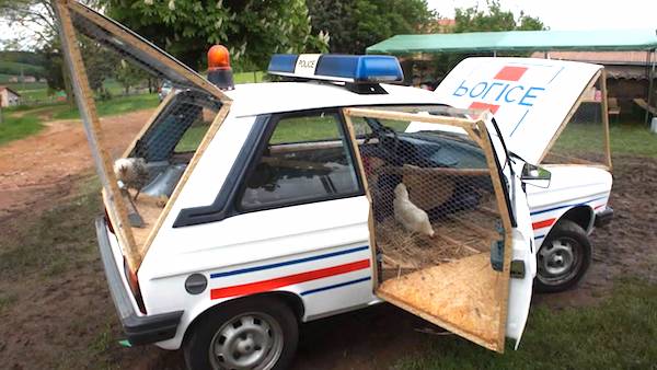 100 top idées de poulaillers pour la prise en charge de vos poulets 101