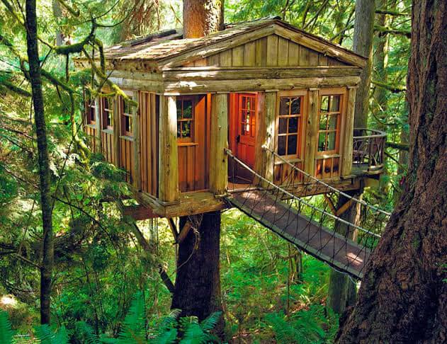 50 top idées de cabanes dans les arbres 11