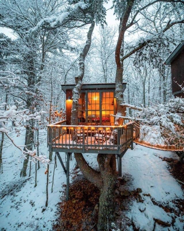 50 top idées de cabanes dans les arbres 14