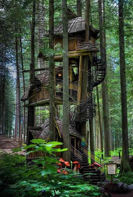 50 top idées de cabanes dans les arbres 18