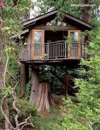 50 top idées de cabanes dans les arbres 2