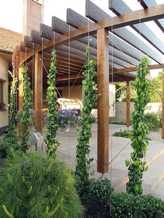 47 top idées de pergolas en tendance pour embellir votre terrasse 24