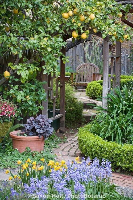 70 décorations de chemins de jardin originales 29