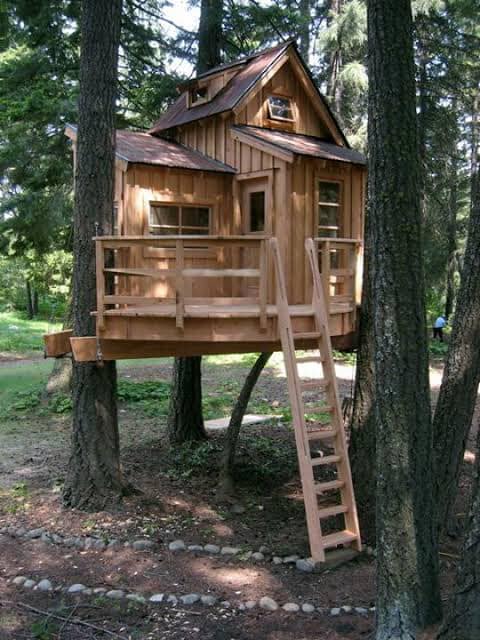 50 top idées de cabanes dans les arbres 3