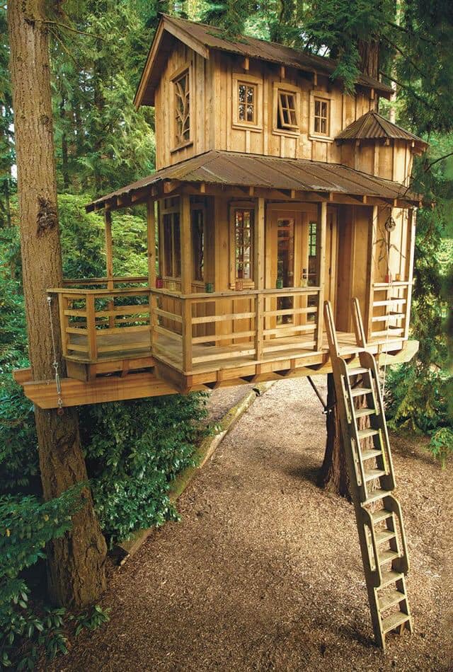 50 top idées de cabanes dans les arbres 36