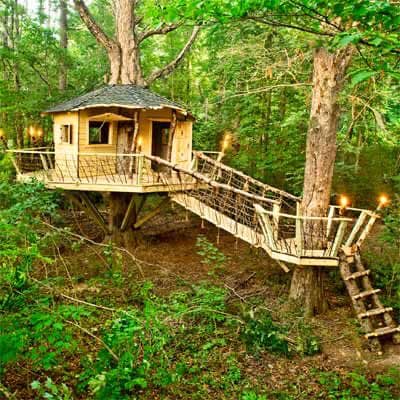 50 top idées de cabanes dans les arbres 40