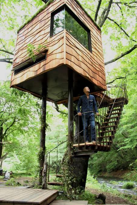 50 top idées de cabanes dans les arbres 42