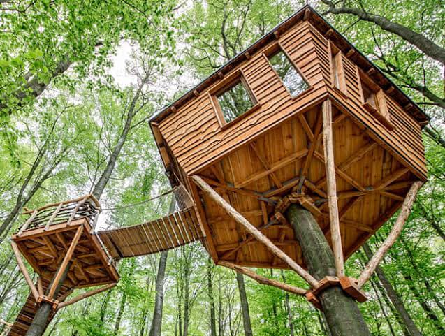 50 top idées de cabanes dans les arbres 49