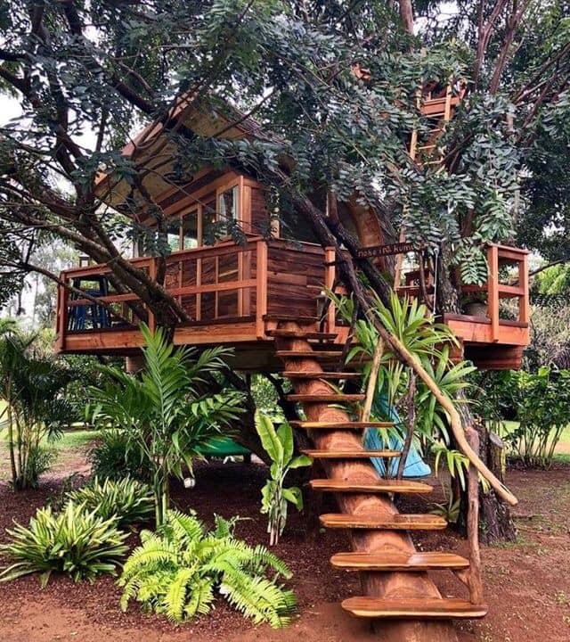 50 top idées de cabanes dans les arbres 7