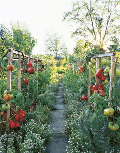 60 trucs faciles à faire avec le jardin 30