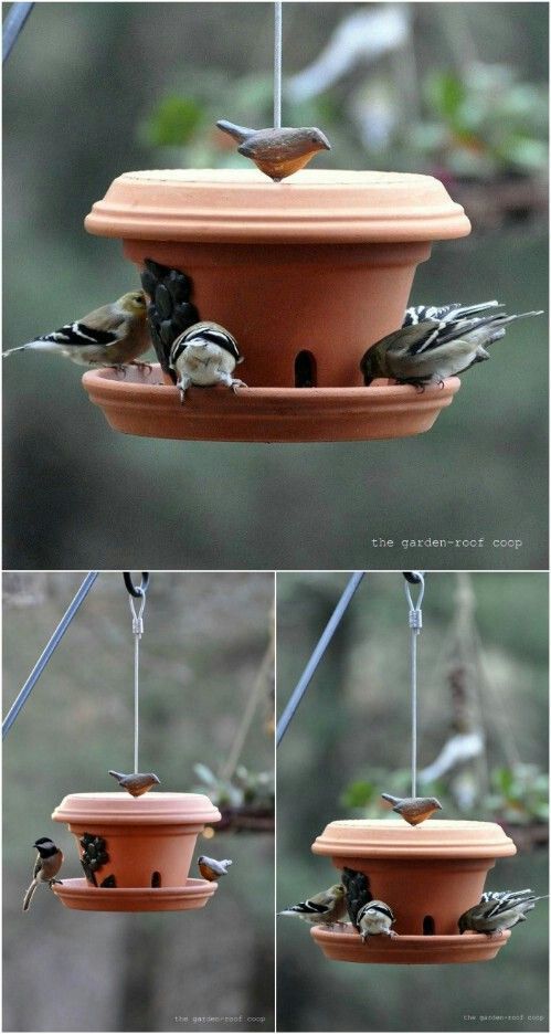 100 mangeoires a oiseaux faciles à faire soi-même pour faire des oiseaux des amis géants 84