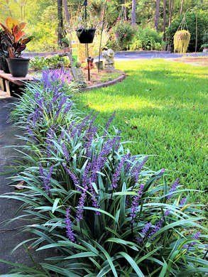 100 idées pour faire de son jardin un endroit magnifique 39