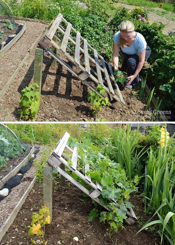 100 idées pour faire de son jardin un endroit magnifique 2