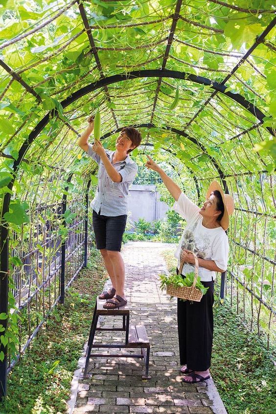 50 façons créatives de faire un jardin potager 25