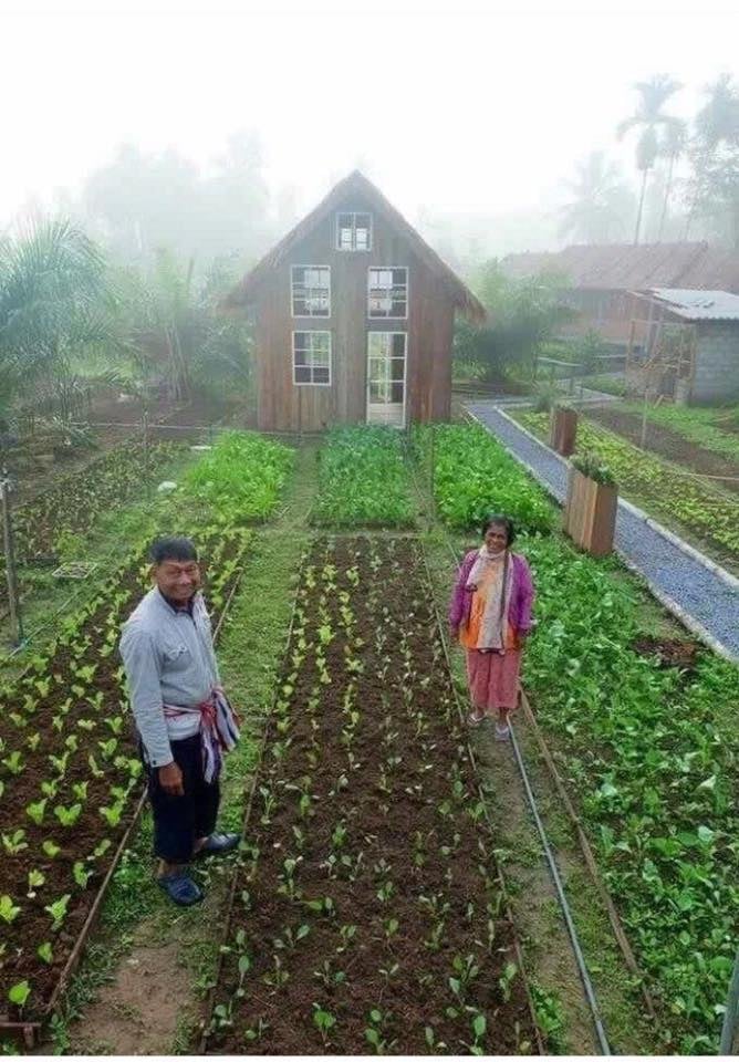 50 façons créatives de faire un jardin potager 41