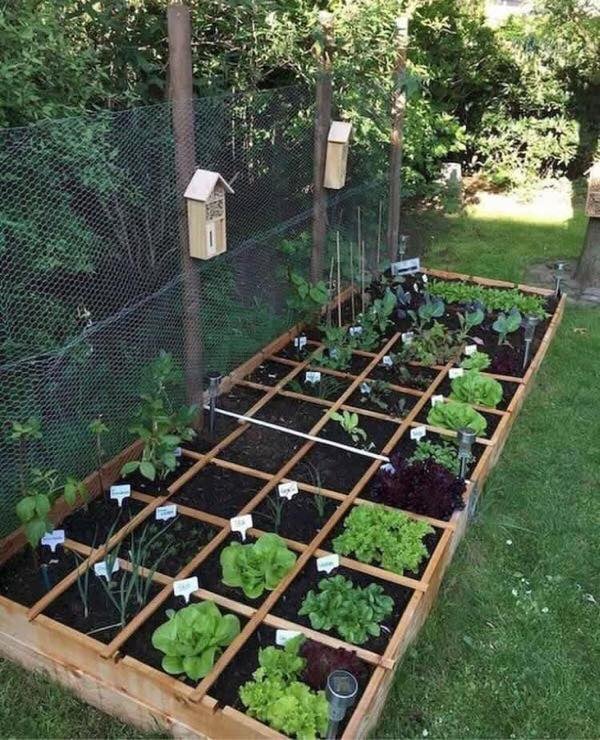 50 façons créatives de faire un jardin potager 49