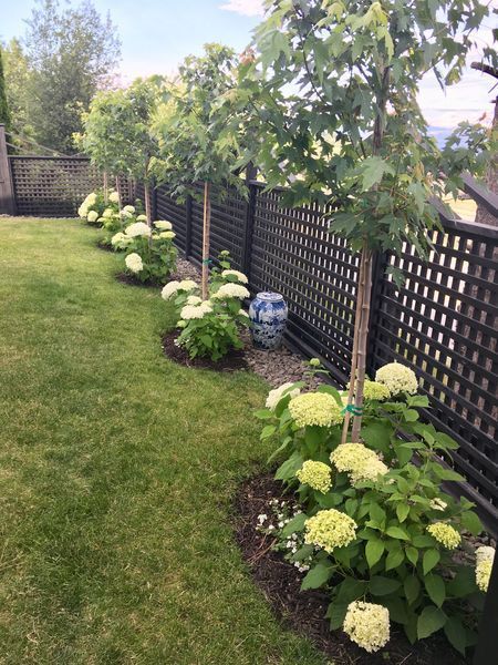 100 trucs faciles à faire dans le jardin 62