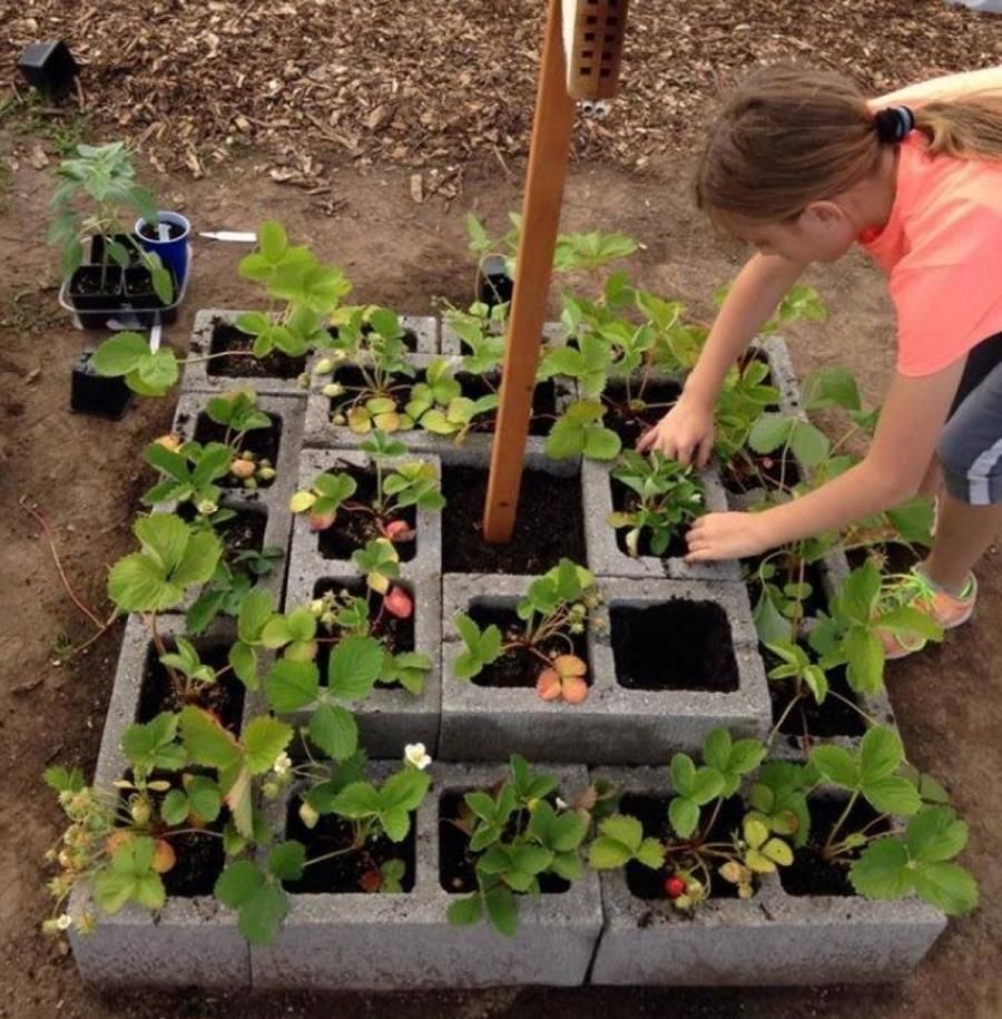 100 trucs faciles à faire dans le jardin 74