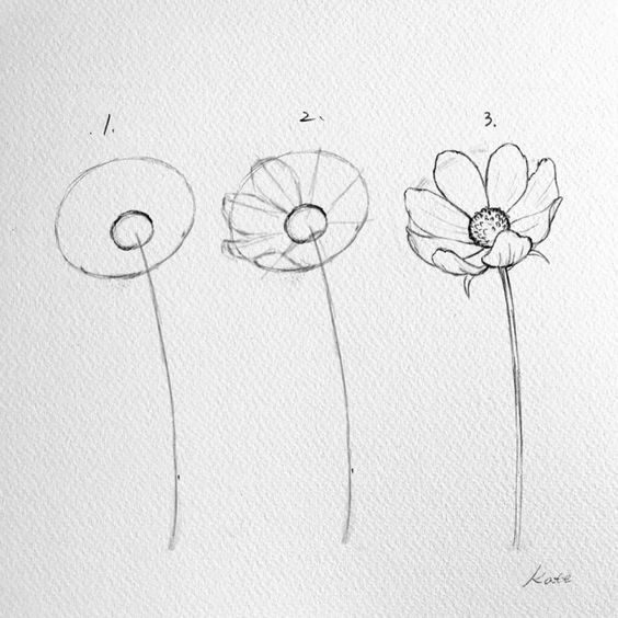 Les Meilleurs Tutos pour Dessiner une Fleur Réaliste !