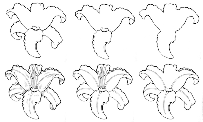 100 top idées & tutos de dessins de fleurs : pour apprendre à dessiner des fleurs 39