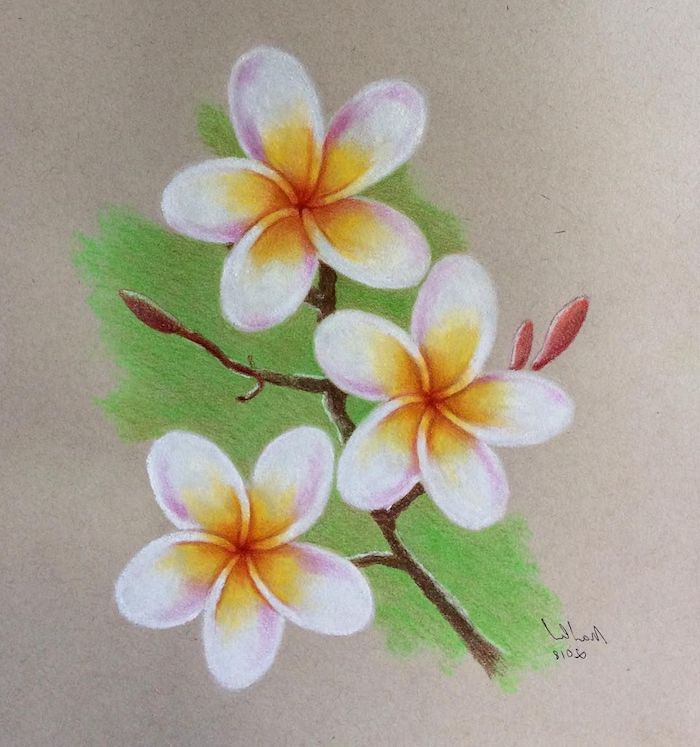 Dessin Fleurs