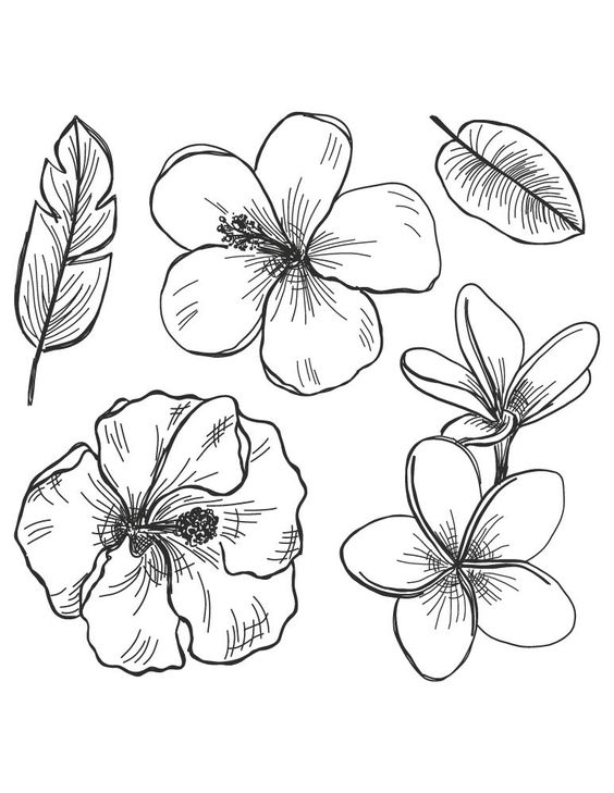 comment dessiner une fleur