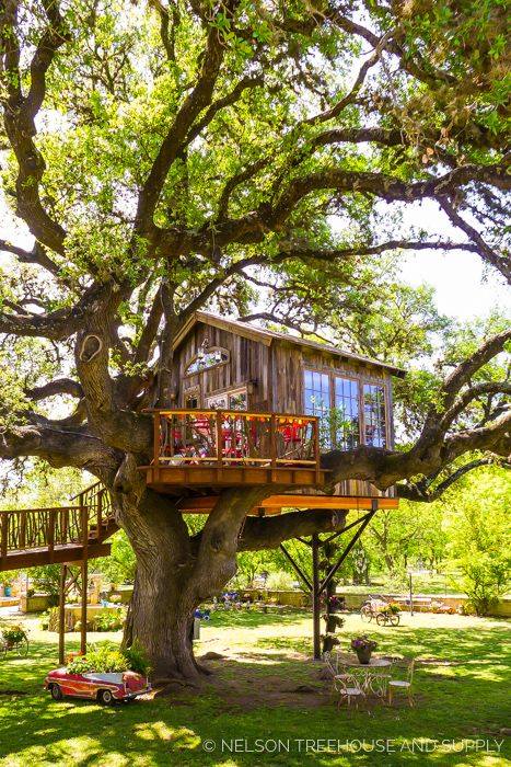 54 top idées de cabanes dans les arbres 12