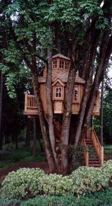 54 top idées de cabanes dans les arbres 13