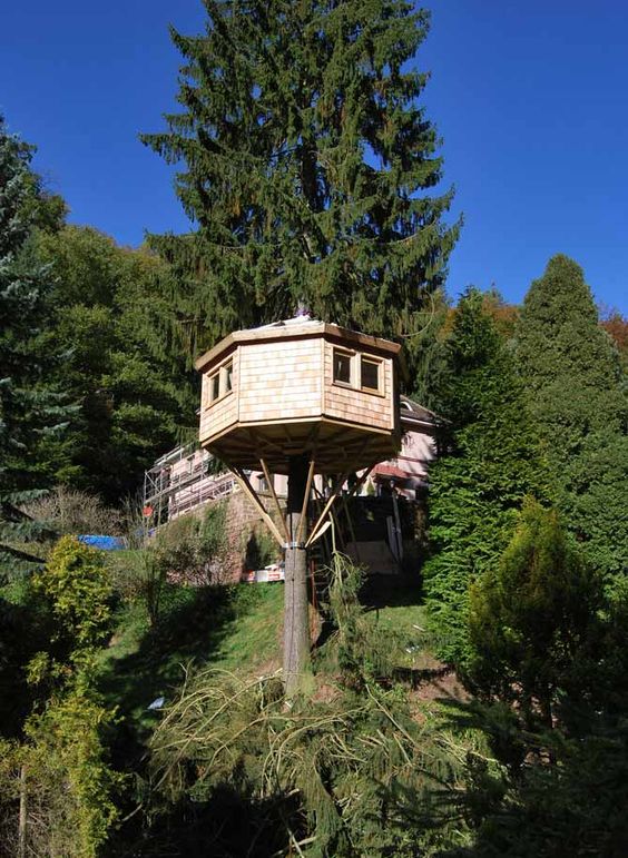 54 top idées de cabanes dans les arbres 24