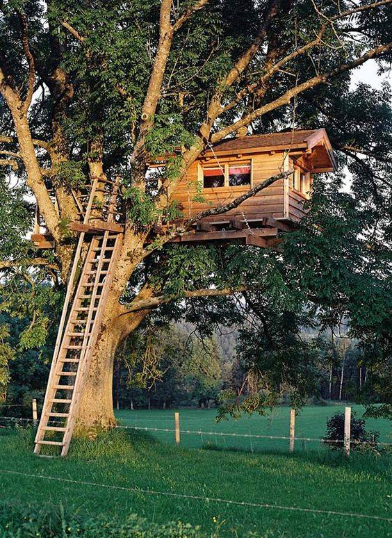 54 top idées de cabanes dans les arbres 30