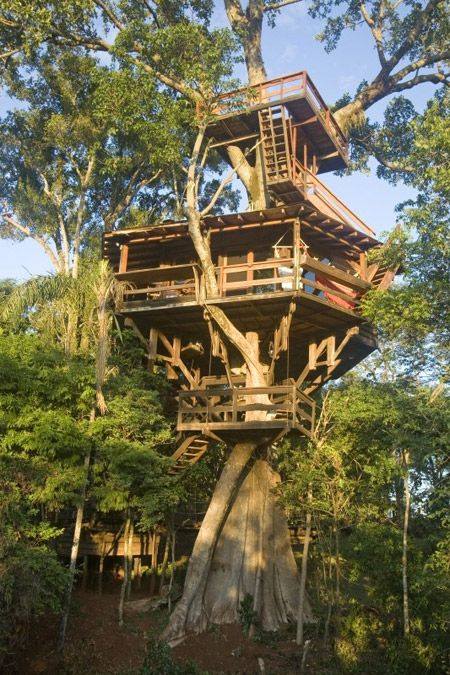 54 top idées de cabanes dans les arbres 31